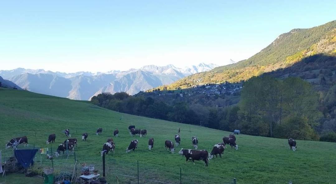 Casa Indipendente Val D'Ayas - Challand Saint Anselme Dış mekan fotoğraf